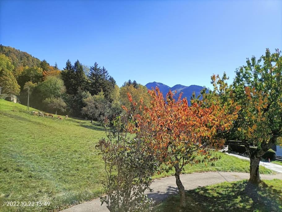 Gite Coeur De Haute-Savoie Viuz-en-Sallaz Exterior photo