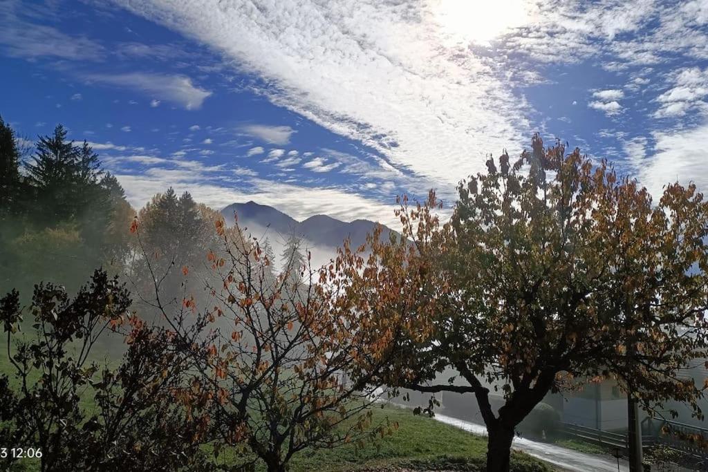 Gite Coeur De Haute-Savoie Viuz-en-Sallaz Exterior photo